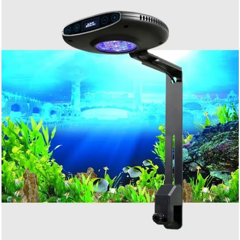 Aquarium Marine Fishes - Luz para Aquários Marinhos Q7 79W