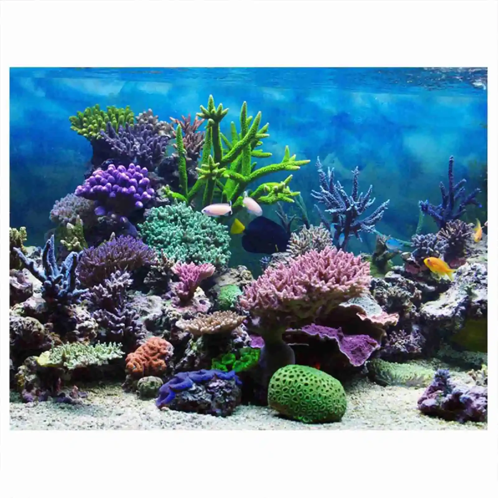 Marine Aquarium Glue - 3D Aquarium Paisagem HD Poster, Rainforest