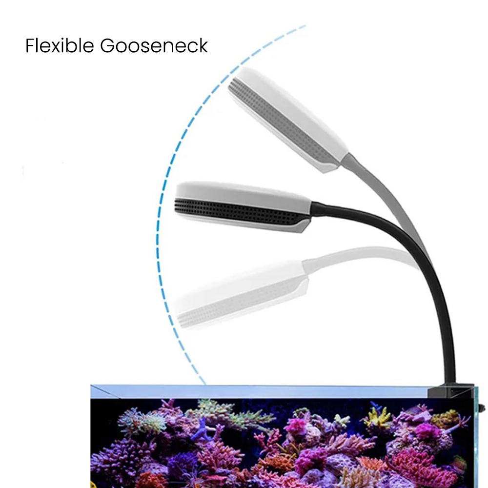 Luz LED para Aquário Spectra S - Aquarium Marine Fishes avaliação e preço