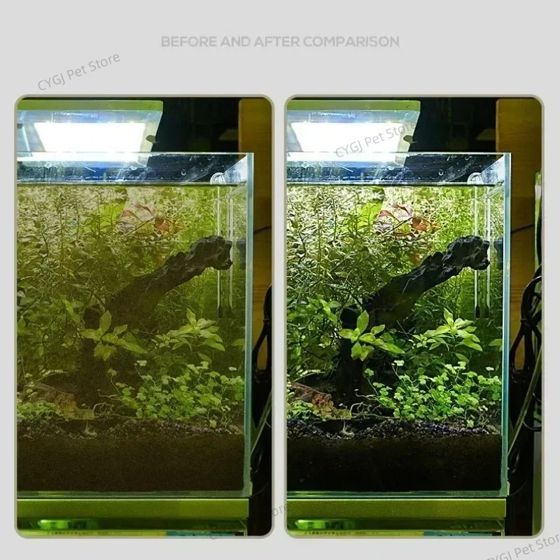 Ferramenta de limpeza de tanqu - Marine Aquarium Glass Scraper avaliação e preço