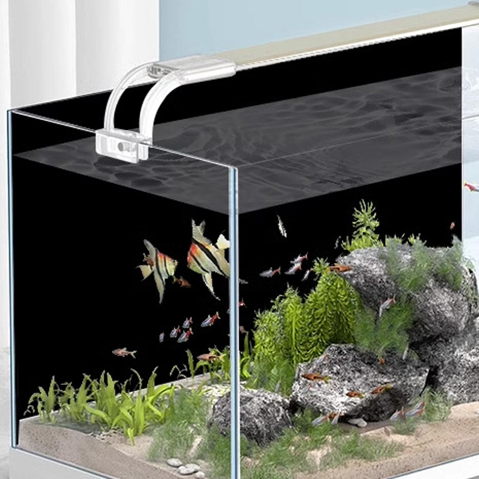 Adesivo de Fundo para Aquário, - Marine Aquarium Glue avaliação e preço