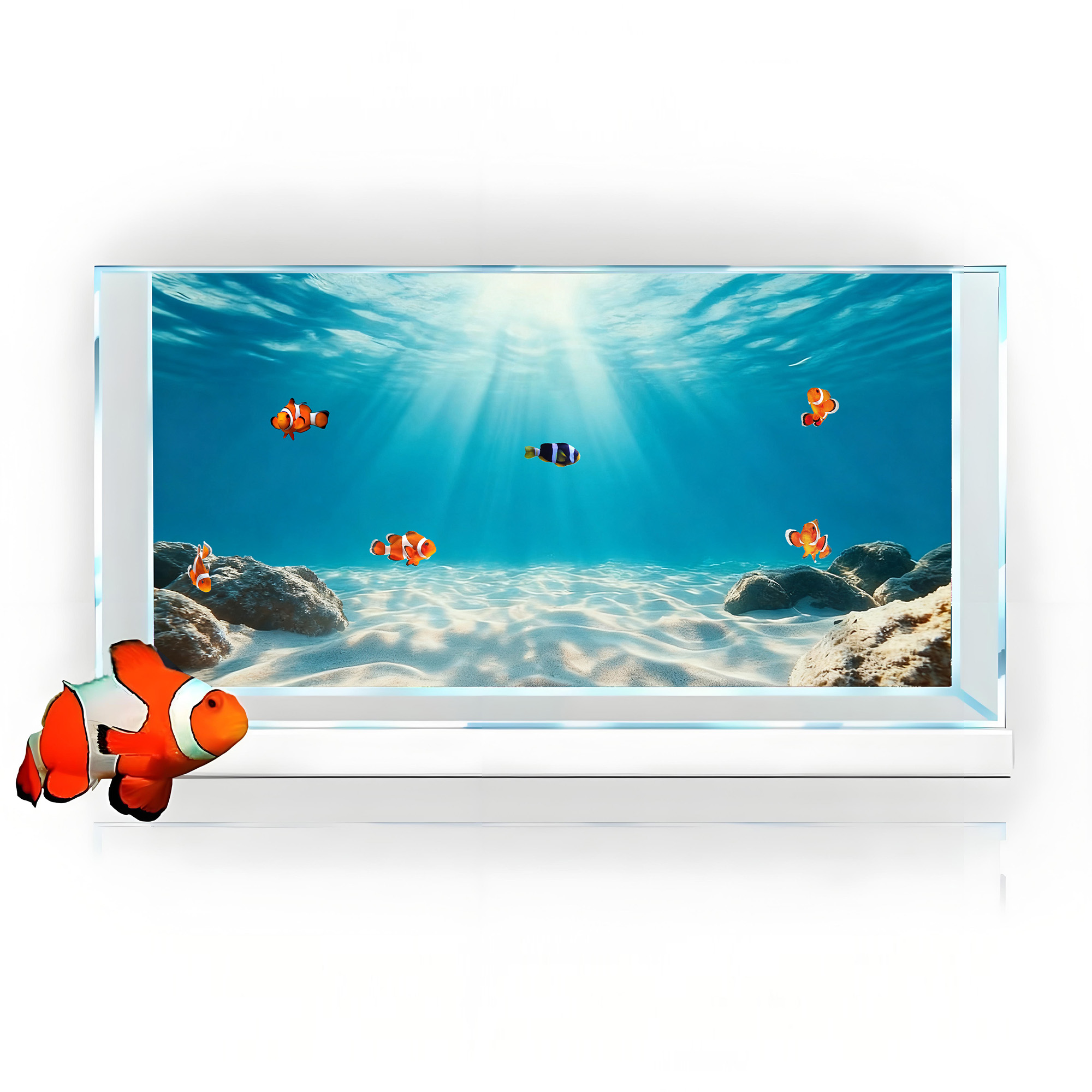 Areia Azul Transparente, Pintu - Marine Aquarium Glue avaliação e preço