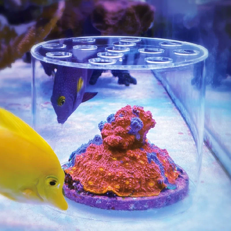 Vastocean aquário acrílico cor - Marine Aquarium Glue avaliação e preço