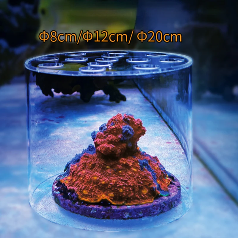 Vastocean aquário acrílico cor - Marine Aquarium Glue avaliação e preço