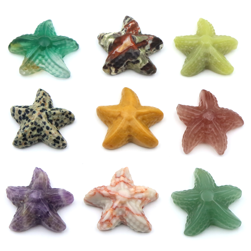 Estátua em forma de estrela do - Aquarium Marine Fishes avaliação e preço