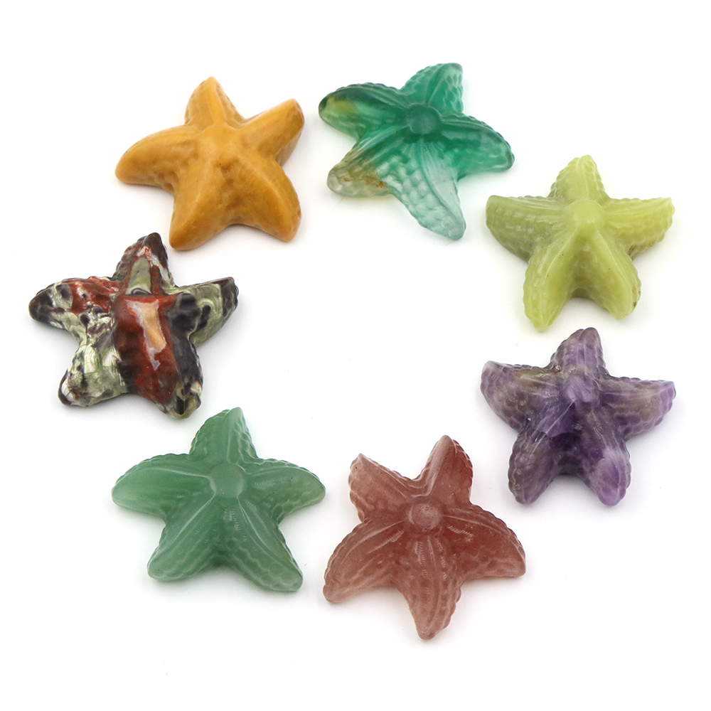 Estátua em forma de estrela do - Aquarium Marine Fishes avaliação e preço