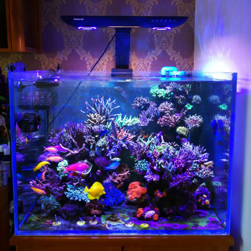 Luz de Aquário AE200 200W para - Aquarium Marine Fishes avaliação e preço
